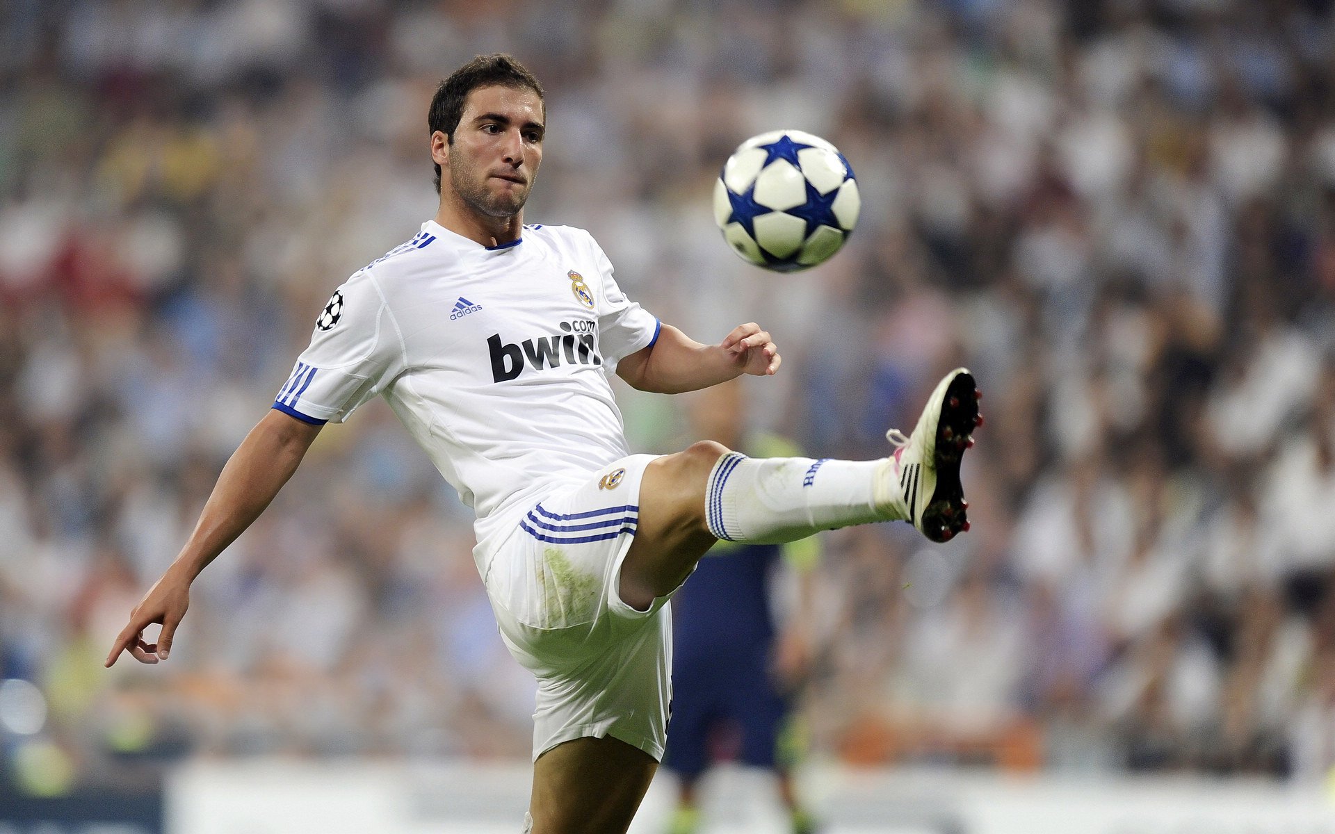 德约科维奇回归赛场，问鼎冠军首场状态亮眼，DWG观众沸腾！